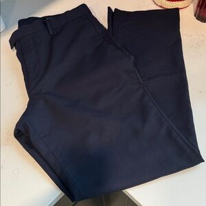 Banana Republic Men's Dark Blue Chinos Standard Fit